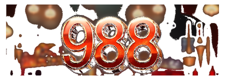 988 wan logo